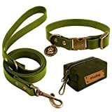 Hundehalsband und Leine Set Combo: Einstellbare langlebige Haustier Halsbänder mit Hundeleinen für kleine mittlere große Hunde, enthält einen Bonus von ...