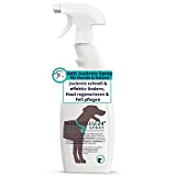 Hundepflege24 Anti Juckreiz Hund Spray 500ml für schnelle Linderung & Beruhigung - Effektives Hautpflege Mittel gegen Juckreiz bei Hunden & ...