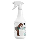 Hundepflege24 Geruchsentferner & Fleckenentferner Spray 1l - Extrem Starke Wirkung Bei Hunde & Katzen Urin, KOT, Erbrochenes, Schweiß Geruch, Speichel ...