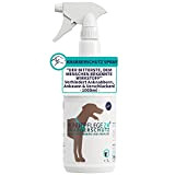 Hundepflege24 Knabberschutz Hund 1000ml - Als Fernhaltespray & Anti Knabber Spray für Hunde & Katzen - Effektiv Gegen Knabbern und ...