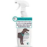 HUNDEPFLEGE24 Spray Conditioner Entfilzungsspray Hunde 500ml - Entwirrungsspray & Kämmhilfe mit pflegender Aloe Vera für leichtes Bürsten, Mehr Glanz & ...