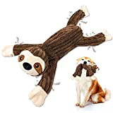 Hundespielzeug Hunde Spielzeug, Tauziehen Plüsch quietschendes mit Crinkle-Papier und Hundeseil, Robust Hundekauspielzeug für Welpen, kleine, mittlere, große Hunde (Faultiere)