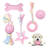 Hundespielzeug Seil mit Ball, 5 Stück Welpen Spielzeug für Hunde ​Zahnpflege, Kauen Hundespielzeug Set für Kleine/ Mittlere Hunde, Knochen für ...