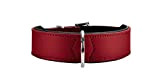HUNTER BASIC Hundehalsband, beschichtetes Spaltleder, Kunstleder, schlicht, robust, witterungsbeständig, 55 (M), rot
