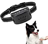 Hunter Halsband Hunde,Nylon Wasserdicht Verstellbares Hundehalsbänder Für Großen, Mittleren, Kleinen Haustier Dog Collar Hundehalsbänder (AA)