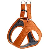HUNTER Hilo Hundegeschirr mit Leder, für kleine Hunde Farbe orange, Größe XXS-XS