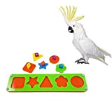 Hypeety Bird Intelligence Training Spielzeug Puzzle Bausteine für Parrot Aras African Greys Wellensittiche Sittiche Nymphensittiche Sittiche Amazon Käfig Spielzeug