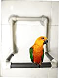 hypeety Bird tragbar Saugnapf Parrot Dusche Sitzstange Fenster stehend Plattform Dusche Bad Spielzeug für Vogel Papagei Ara Kakadu African Greys ...