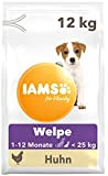 IAMS for Vitality Junior Hundefutter trocken - Welpenfutter für Welpen im Alter von 1-12 Monaten, geeignet für kleine & mittelgroße ...