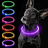 iTayga leuchthalsband Hund, USB-aufladbar und wasserdicht hundehalsband, verstellbare Länge, Sicherheitshalsband für Hunde und Katzen, 3 Modi, Lila
