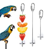 iTGOOS 2 Stück Papageien Spieß Fruchthalter,Vogel Obst Halter Edelstahl,Papageien Gemüsespieß,Obsthalter Für Vögel Wellensittiche Sittiche Nymphensittiche Kanarische