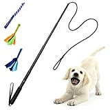 IWILCS Hundespielzeug ausziehbare Reizangel, Flirt Pole für Hunde, Ausziehbares Flirt Pole Seil, für Training Übung Outdoor Training Übung Seil Spielzeug