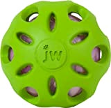 J.W. JW JW47015 Crackle Ball, Gummiball mit einem Kunststoff-Flaschenherz für Hunde, L