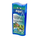 JBL Algol Algizid für Aquarien, 250 ml für 1000 L