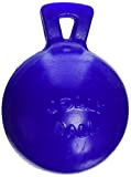 Jolly Pets Tug N Toss Heavy Duty Chew Ball for Pet Dogs Toy Bounces Blue 6 Inch