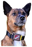 josi.li Halsbandtasche für Hundemarken bis 28x28mm, Leder,Farbauswahl, für Halsbandbreite bis 40mm