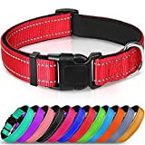 Joytale Hundehalsband für Kleine Hund, Reflektierend Halsband Hund Breit für Mittlere Hunde, Gepolstert Hundehalsbänder, Rot