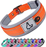 Joytale Hundehalsband, Weich Gepolstertes Neopren Breit Hunde Halsband für Mittlere Hunde, Verstellbares und Reflektierendes Nylon Hundehalsband, Orange