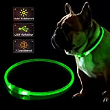 KABB LED Hundehalsband, USB Wiederaufladbares Blinkhalsband für die Sicherheit bei Nacht, Verstellbares, Wasserdichtes, Hell Beleuchtetes Halsband für Hunde - Eine ...