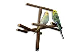 Käfigantenne, Cooles Vogelspielzeug als Anflugstange oder Sitzplatz aus Naturholz