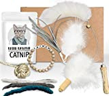 Kater Kasimir Katzenspielzeug Deluxe Set mit Katzenangel, Ersatzanhängern, Katzenball, Katzenminze, Affenfaust und Filzwürmchen. Plus extra CATMOM Armband