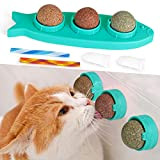 Katzenminze Balls für Katzen, MOMSIV Wandroller Drehbare Dentales Essbares Kauspielzeug mit Hunden Haustiere Fingern Katzenlecken Zahnreinigung und Kitty Spring Interaktives ...