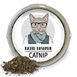 Katzenminze (Catnip) Macht Deine Katze froh! Premium-Qualität: Nur die Beste Minze für deinen kleinen Schatz (geschnitten, getrocknet). Als Katzensnack oder ...