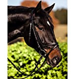 Kerbl 32170 Trensen-Zaum Standard Leder für Pony, schwarz
