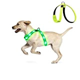 KOSKILL LED Hundegeschirr Wiederaufladbares Beleuchtetes Hundegeschirr Leuchtet Im Dunkeln LED Hundeweste Reflektierend Hundelichter für Nachtspaziergänge Grün L