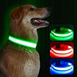Kpuplol Leuchthalsband Hund, Hundehalsband Leuchtend, Wiederaufladbar Hundehalsband Leuchtend LED Halsband für Hunde Einstellbare Größe, 3 Beleuchtungsmodi für Kleine Mittlere Große ...