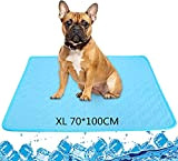 Kühlmatte für Hunde XL(70*100 cm) Katzen Pet Cooling Mat Haustier kühlmatte Hund Auto kühldecke Bett Ungiftig Tragbar Faltbar Waschbar Bequemes ...