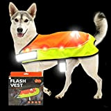 LaRoo Hunderegenmantel, Leuchtendes LED Wasserdicht Winter Reflektierende Regenmantel für Hunde mit Bauchschutz,USB Wiederaufladbarem Sicherheitsweste für Kleine Grosse Hunde(L,Fluoreszierende Orange)