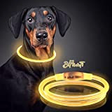 Leuchthalsband Hund BiPawTi Hundehalsband Leuchtend USB Aufladbar Wasserdicht Anione LED Leucht Halsband Längenverstellbarer Haustier Sicherheit Kragen für Hunde Extra helles ...