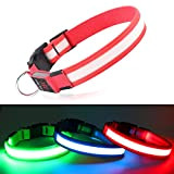 Leuchthalsband Hund DQGHQME Hundehalsband Leuchtend USB Aufladbar LED Leucht Halsband für Hunde Verstellbares Leuchtendes Hundehalsband kleine, Mitte, Große Hunde Super ...