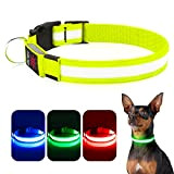 Leuchthalsband Hund, iTayga USB Aufladbar Led Hundehalsband Einstellbar Hundehalsband Leuchtend, Nacht-Sicherheitslicht Hundehalsband,TPU Wasserdicht, 3 Beleuchtungsmodi(Grün, L)