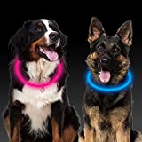 Leuchthalsband Hund LED, Aicharynic 2 Stück LED Hunde Halsbänder USB Wiederaufladbare Wasserdicht LED Hundehalsband 3 Blinkende Lichter Längenverstellbarer Sicherheit Halsband ...