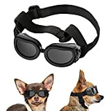 Lewondr Sonnenbrille für Hunde UV Schutzbrille, Hunde Winddichte & Antibeschlagbrille & Wasserdichter Hundebrille mit Einstellbar Gummiband für Kleine Hunde - ...