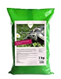 Linsor Schildkrötenweide, Futterpflanzen für Landschildkröten, Wildkräuter, Saatgut Mischung, 1kg für 100m²