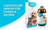 LiqudoCare Immun-unterstützend zur Immunstärkung bei Katzen und Hunden, Appetitanreger mit guter Akzeptanz, 180 ml