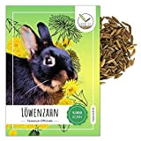 Löwenzahn Samen für Kaninchen - Wildkräuter Saatgut als optimale Futterergänzung für Kaninchen, Meerschweinchen und Schildkröten (5.000 Samen)