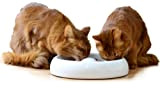 Lucky-Kitty Keramik Katzennapf XL (ø 27cm) - auch für mehrere Katzen geeignet.