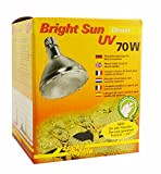 Lucky Reptile Bright Sun UV Desert - 70 W Metalldampflampe für E27 Fassungen - Terrarium Lampe mit Tageslichtspektrum - Wärmelampe ...