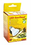Lucky Reptile LED Sun Flood 6,5 Watt - LED Lampe für E27 Fassungen - Terrarium Lampe mit beeindruckender Lichtleistung - ...