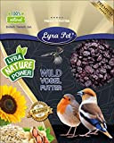 Lyra Pet® 20 kg Rosinen 20000 g Futterrosinen Vogelfutter Premium Qualität für Wildvögel