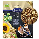 Lyra Pet® 25 kg Streufutter schalenfrei Vogelfutter ohne Schale Wildvögel Vögel