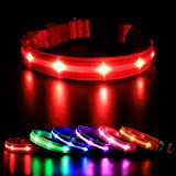 MASBRILL LED Leuchthalsband Hunde Aufladbar, Hundehalsband Leuchtend Wasserdicht 3 Blinkmodi Verstellbare Leuchtendes Halsband für Klein Mittlere Große Hunde, Rot M