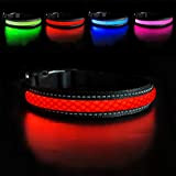 MASBRILL Leuchthalsband für Hunde aufladbar LED hundehalsband Blinkende Lichter mit USB verstellbar 3 Modells (M, Rot)