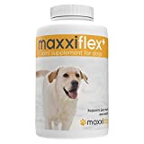 maxxiflex+ Gelenktabletten für Hunde – Teufelskralle, MSM, Glucosamin, Hyaluronsäure, Chondroitin, Bromelain, Kurkuma – 120 Stück
