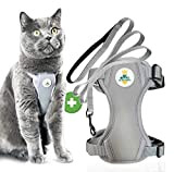 MC-Royal® Premium Katzengeschirr [inkl. Leine für Katzen] - Größenverstellbares Geschirrset für Katzen mit Leine - Katzengeschirr - Cat Harness - ...
