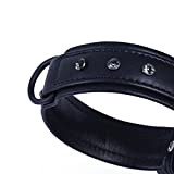 MICHUR Zorro Hundehalsband Leder, Lederhalsband Hund, Halsband, Schwarz, Leder, mit schwarzen Strasssteinen/Kristallen, in verschiedenen Größen erhältlich